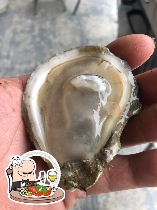 Wilsons Oysters in Houma Restaurant reviews