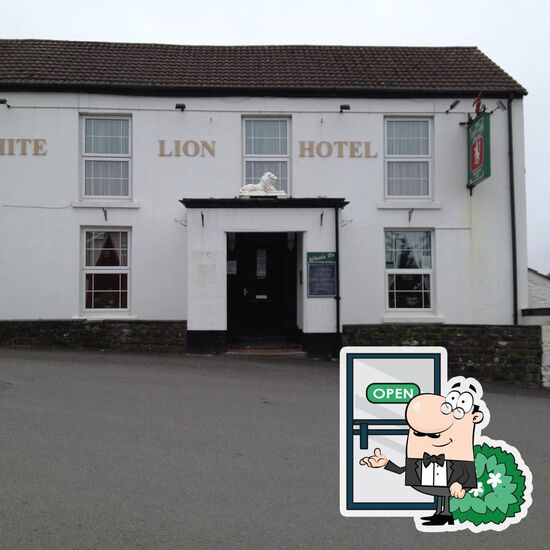 Menu at White Lion pub & bar, Ferryside