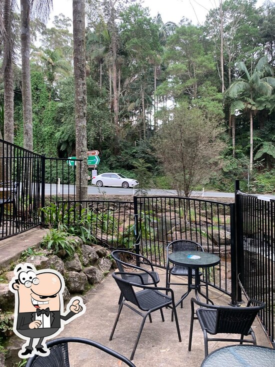 Menu at Curtis Falls Cafe, Tamborine Mountain