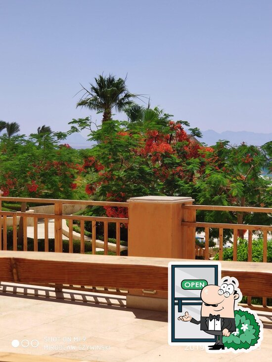Menu at Bird Nest restaurant, Egypt