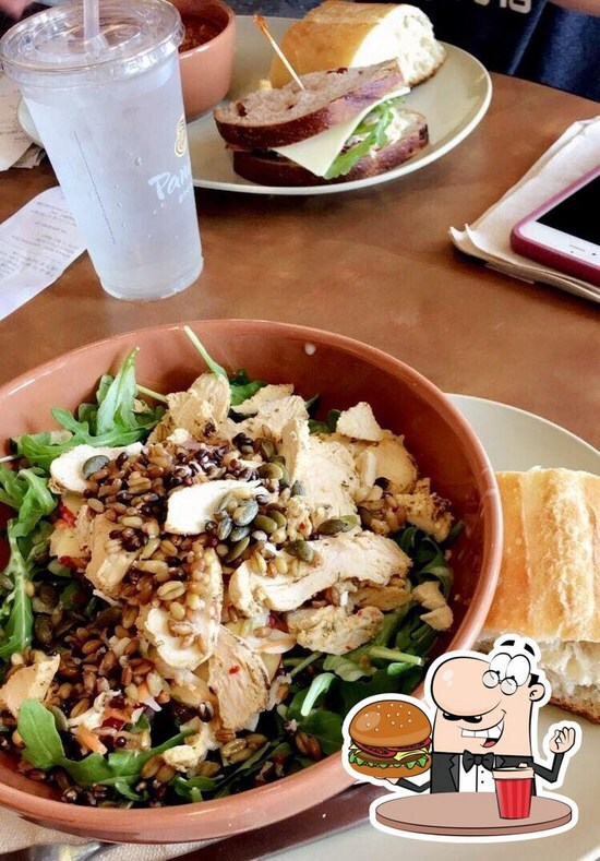 Panera Bread, 3720 W Hillsboro Blvd in Deerfield Beach - Restaurant