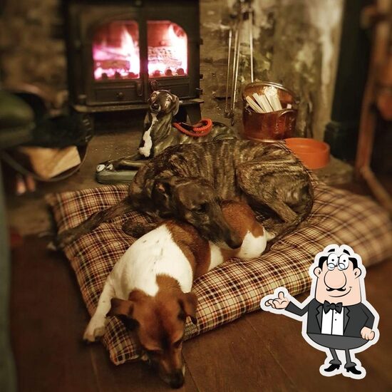 The Dog House Micropub in Coleford Restaurant reviews