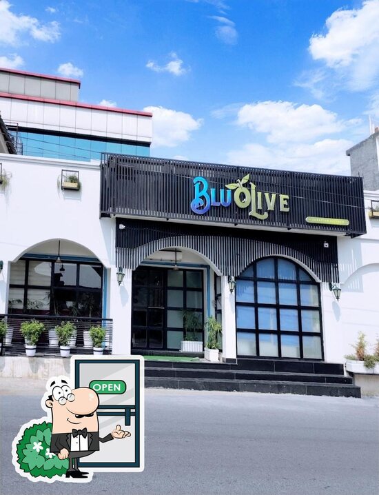 BLU OLIVE RESTAURANT GREATER KAILASH JAMMU, Jammu Restaurant reviews