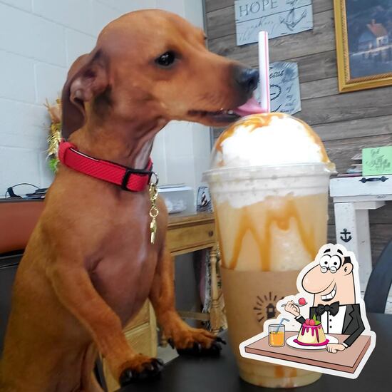 Lighthouse Coffee and Cafe in Elkton Restaurant menu and reviews