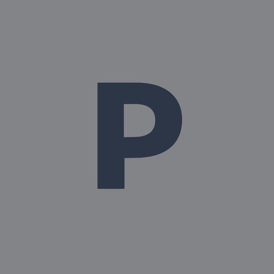 Esports Logo Pubg | Priyanshu Pandey Paglu | Gambar