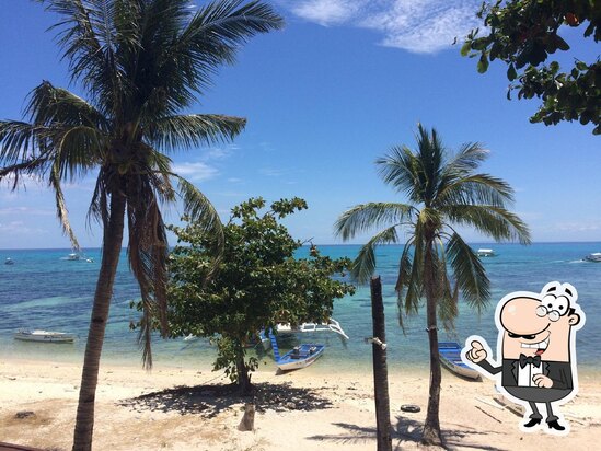 Thresher Shark Divers pub & bar, Daanbantayan - Restaurant reviews