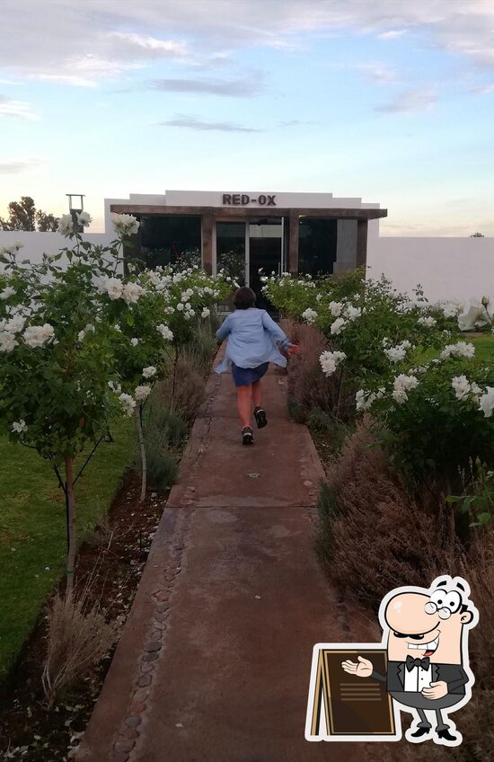 Menu at Red-Ox restaurant, Upington